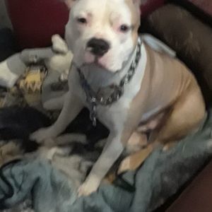 Meet your Posher, William